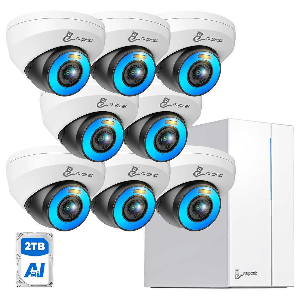 4MP Color Night Vision Proaction Deterrent Dome Camera System - 8 Channel 8 Cameras with 2TB HDD